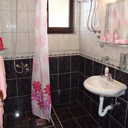 Tarski Konaci 미트로박