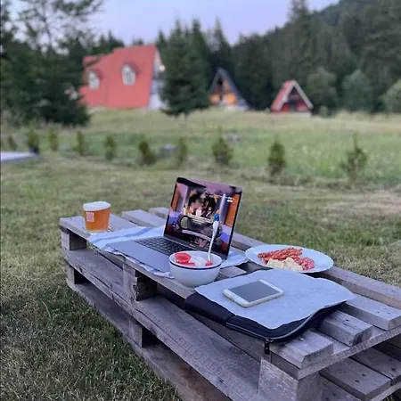 Tarski Konaci 미트로박