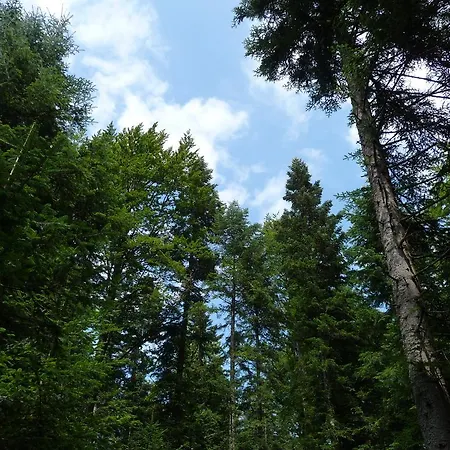 아파트 Tarski Konaci 미트로박