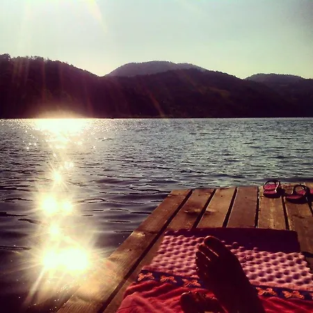 Tarski Konaci * 미트로박