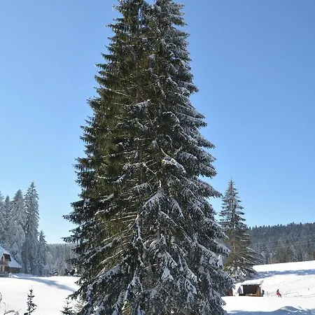 Tarski Konaci *