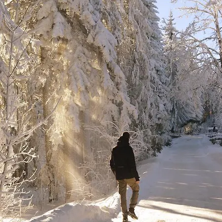 아파트 Tarski Konaci *