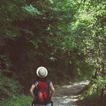 Tarski Konaci 아파트